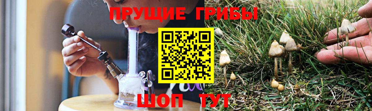 Псилоцибиновые грибы Cubensis Туймазы